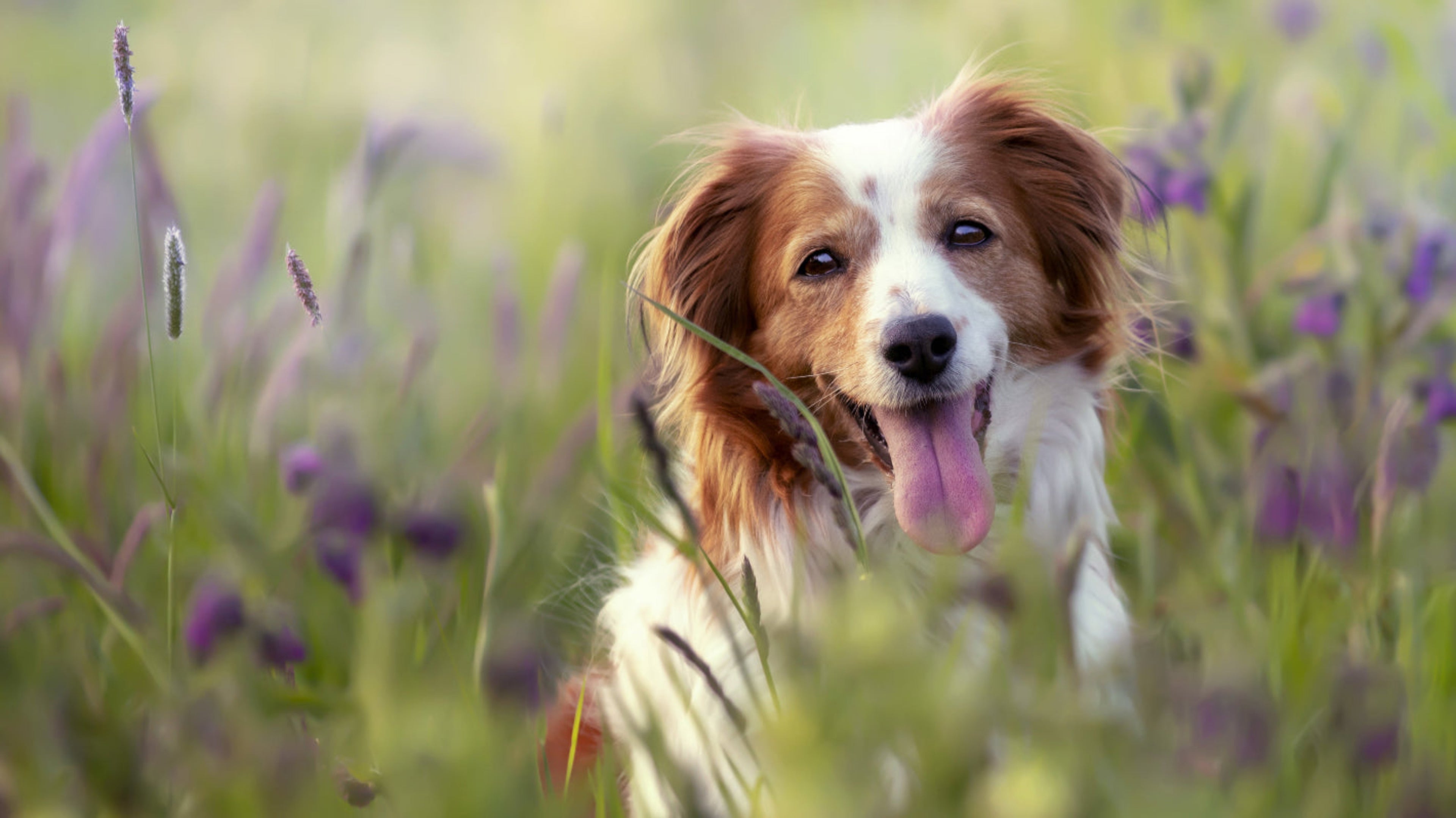 slider image 1621243260e1af0c20-0
