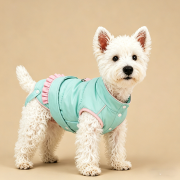 Stylish Two-Tone Ruffle Dog Coat | Winter Fashion Jacket for Small & Medium Dogs, Cute Dog Apparel