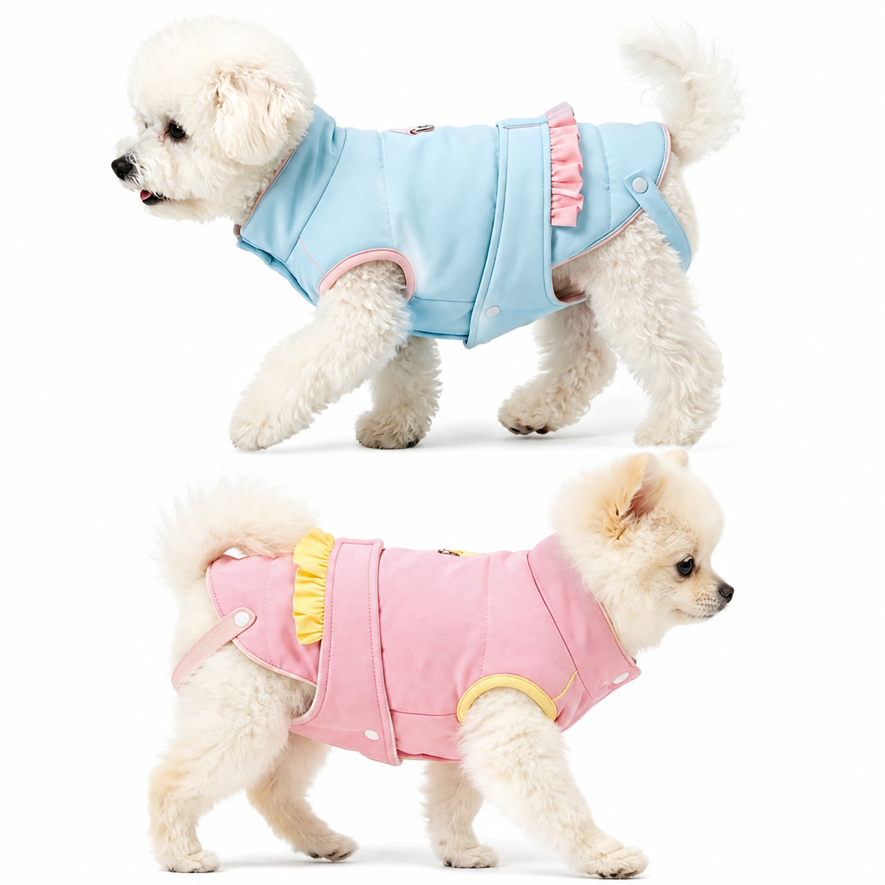 Stylish Two-Tone Ruffle Dog Coat | Winter Fashion Jacket for Small & Medium Dogs, Cute Dog Apparel